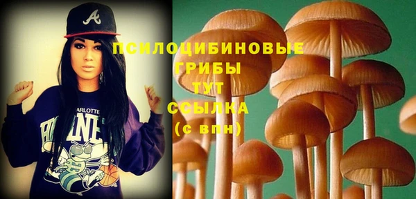 apvp Алексеевка