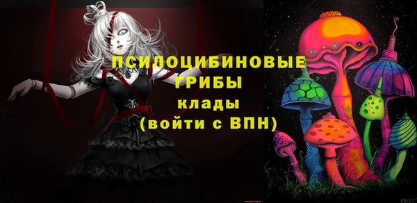 apvp Алексеевка